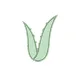 アロエ